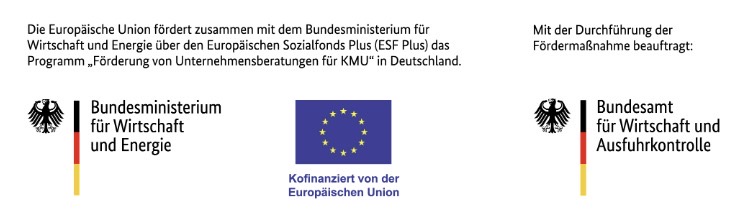 Gefördert durch die Europäische Union, das Bundesministerium für Wirtschaft und Energie und das Bundesamt für Wirtschaft und Ausfuhrkontrolle